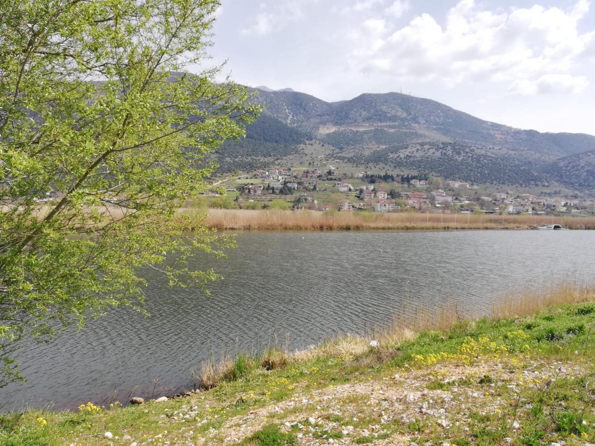 House With View In Amfithea Appartement Ioannina Buitenkant foto